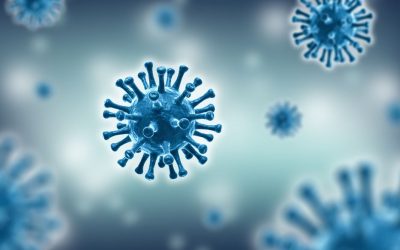 Neue Studie aus Wien: So viele Coronaviren braucht es, um sich zu infizieren – deutlicher Unterschied zur Influenza